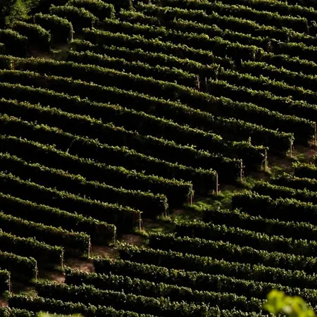 Сasa de vacaciones Hillside In
