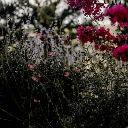 Hillside In Casa de Férias *