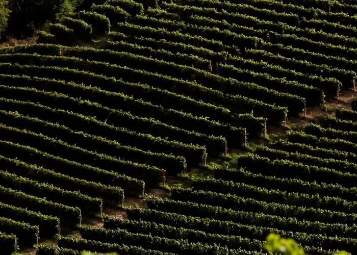 בית נופש Hillside In