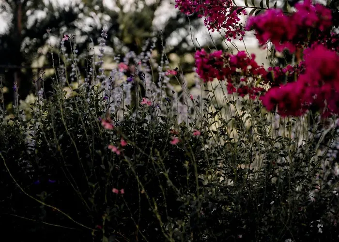 Hillside In בית נופש *